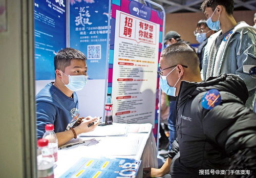 應屆生求職困境中的職業中介 機遇、風險與策略