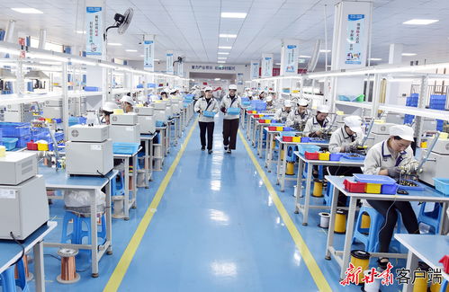 康樂東西協作鄉村就業工廠節后復工生產忙，職業中介活動助力就業